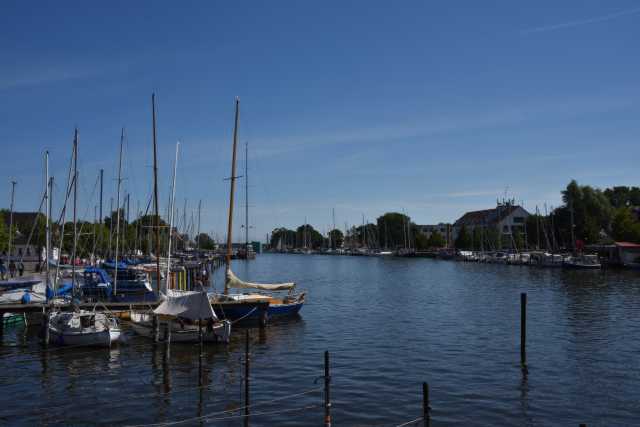 DSC_6510.JPG