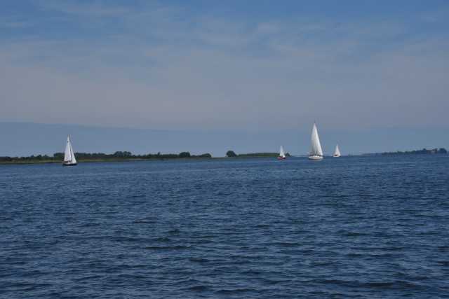 DSC_6530.JPG