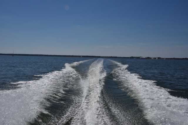 DSC_6538.JPG