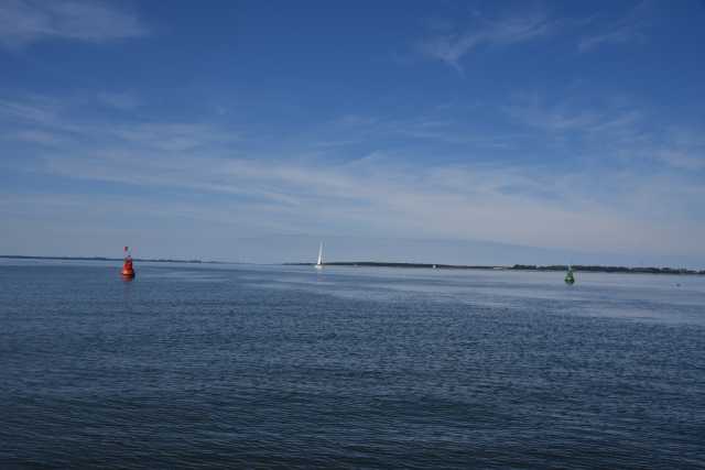 DSC_6569.JPG