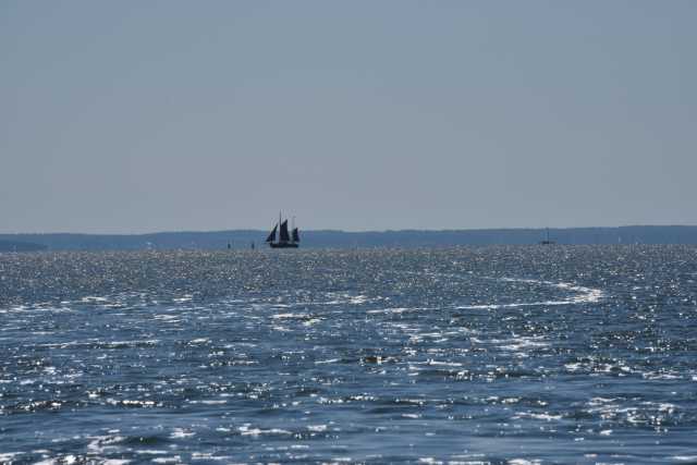 DSC_6581.JPG