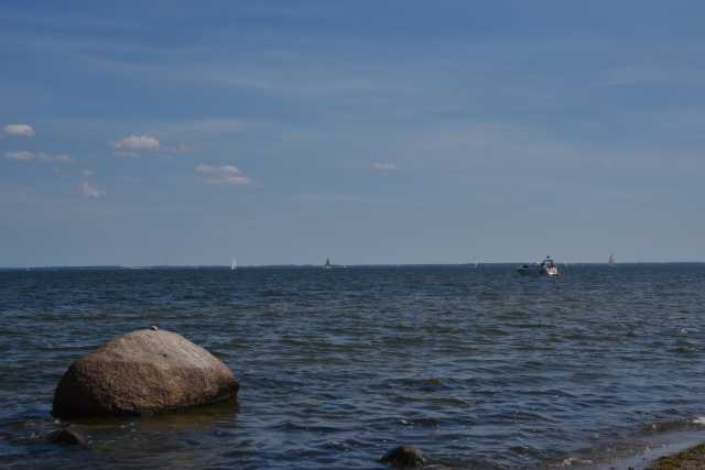DSC_6601.JPG