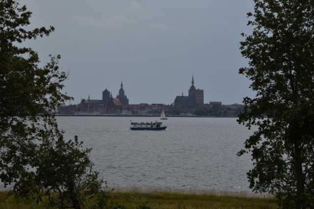 DSC_6653.JPG