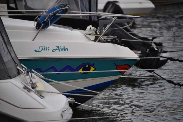 DSC_6656.JPG