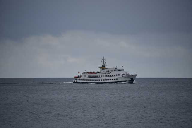 DSC_6682.JPG
