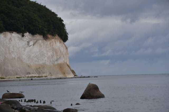 DSC_6695.JPG