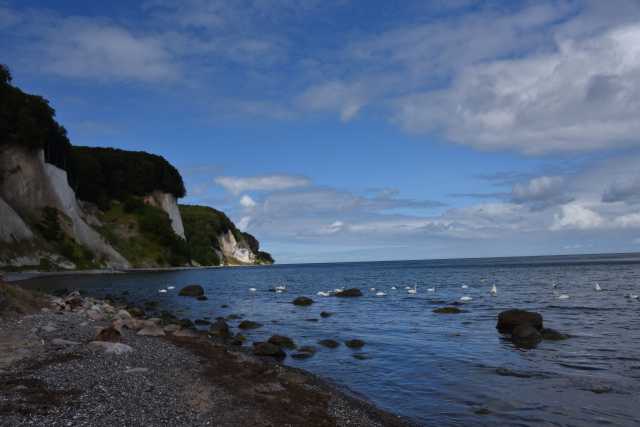 DSC_6735.JPG