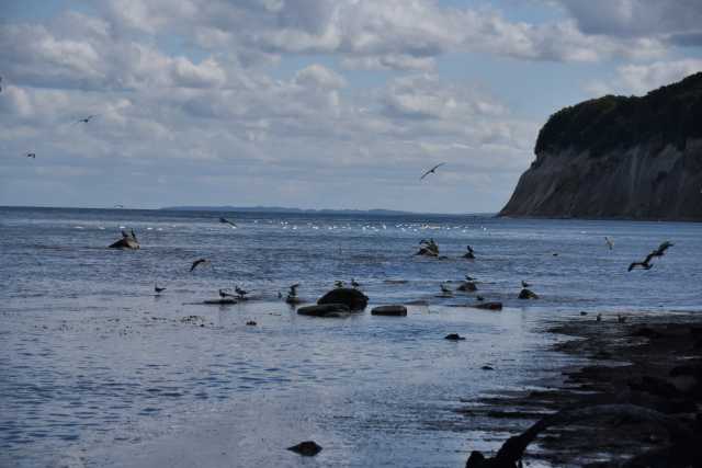 DSC_6759.JPG