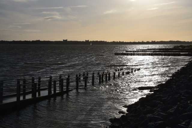 DSC_6804.JPG
