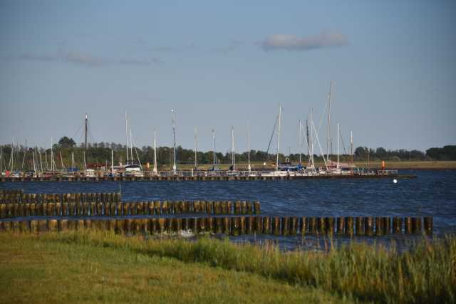 DSC_6809.JPG