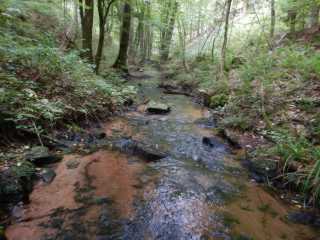 DSCN5573.JPG