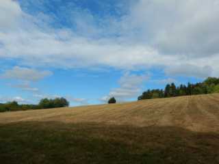 DSCN5581.JPG