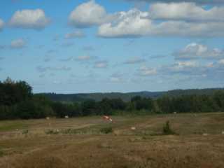 DSCN5584.JPG