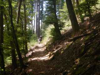DSCN5586.JPG