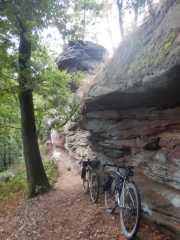 DSCN5590.JPG