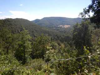 DSCN5597.JPG