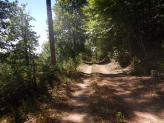 DSCN5598.JPG
