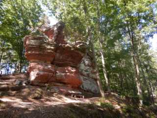 DSCN5600.JPG