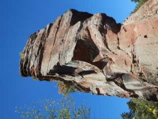 DSCN5619.JPG