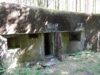 DSCN5644.JPG