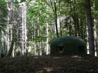DSCN5648.JPG