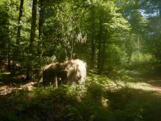 DSCN5653.JPG