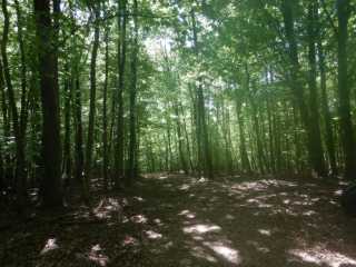 DSCN5656.JPG