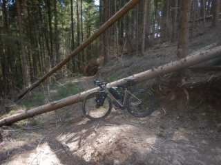 DSCN5658.JPG