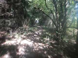 DSCN5666.JPG