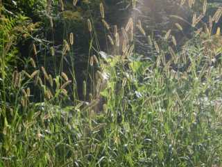 DSCN5680.JPG