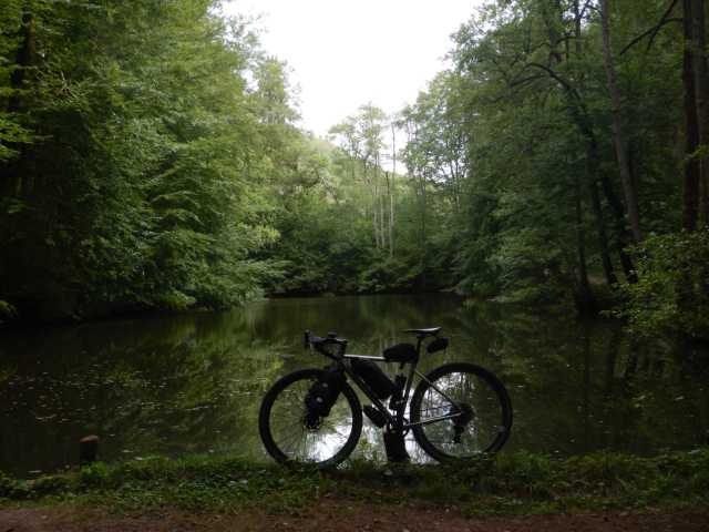 DSCN5574.JPG