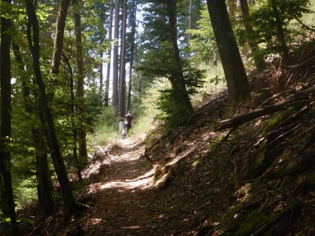 DSCN5586.JPG