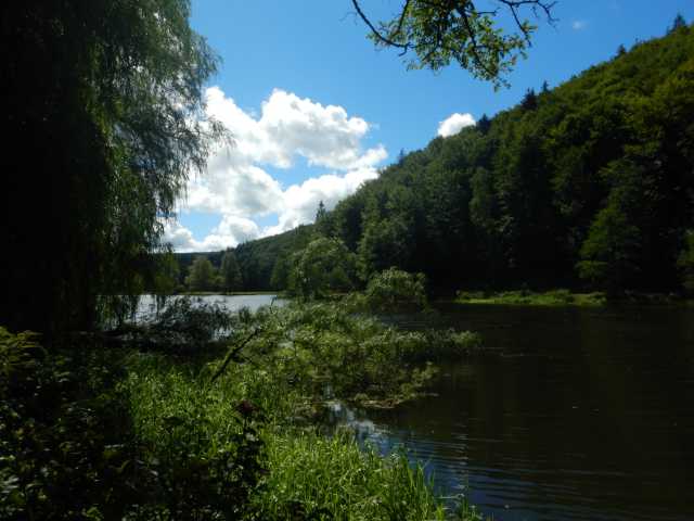 DSCN5591.JPG