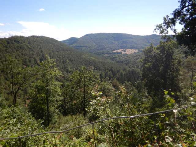 DSCN5597.JPG