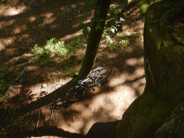 DSCN5604.JPG