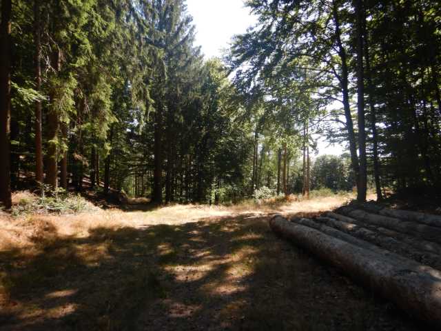 DSCN5611.JPG