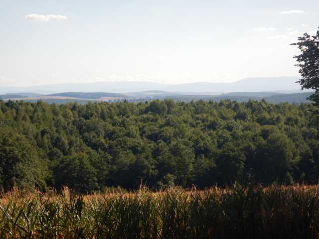 DSCN5627.JPG