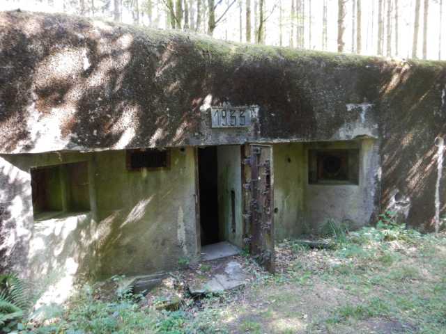 DSCN5644.JPG
