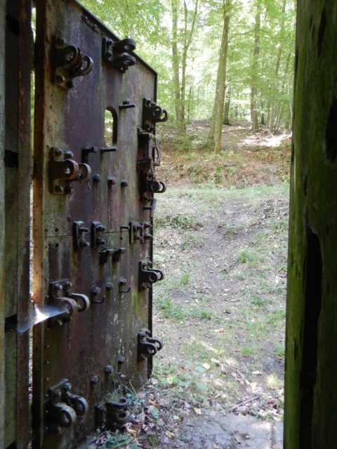 DSCN5647.JPG