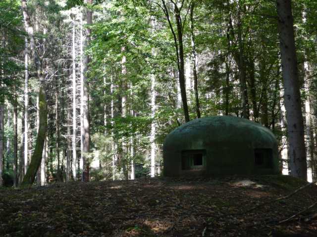 DSCN5648.JPG