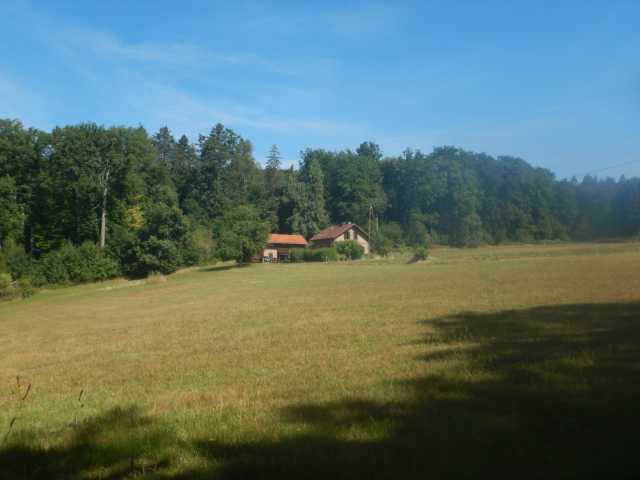 DSCN5651.JPG