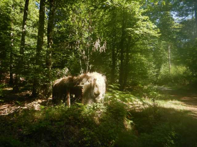 DSCN5653.JPG