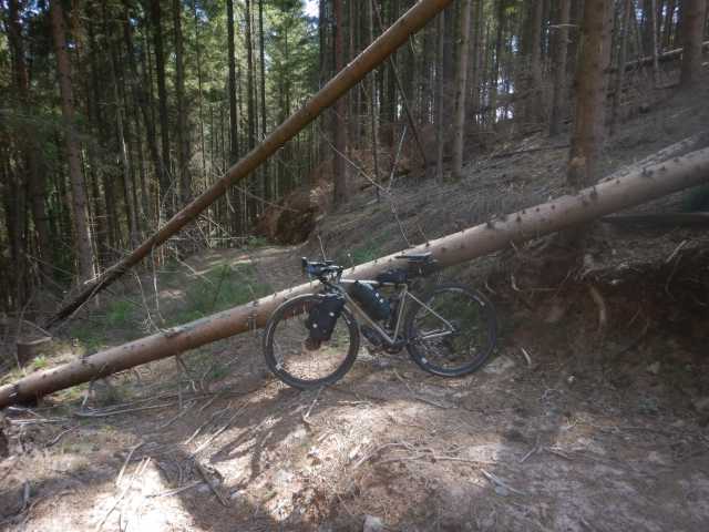 DSCN5658.JPG