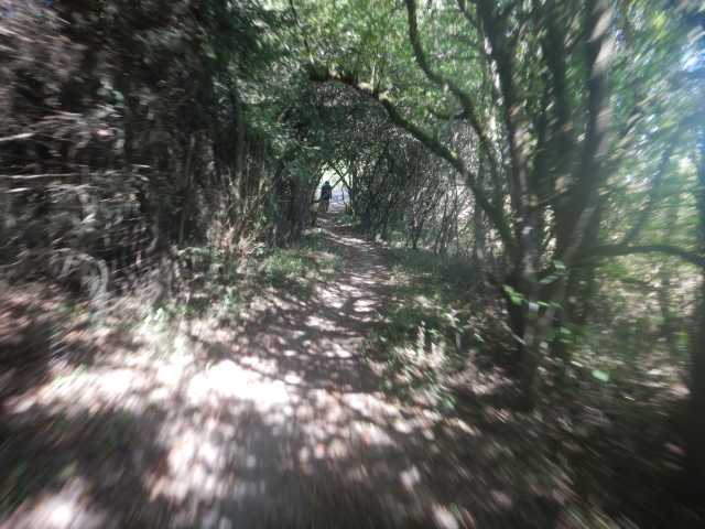 DSCN5666.JPG