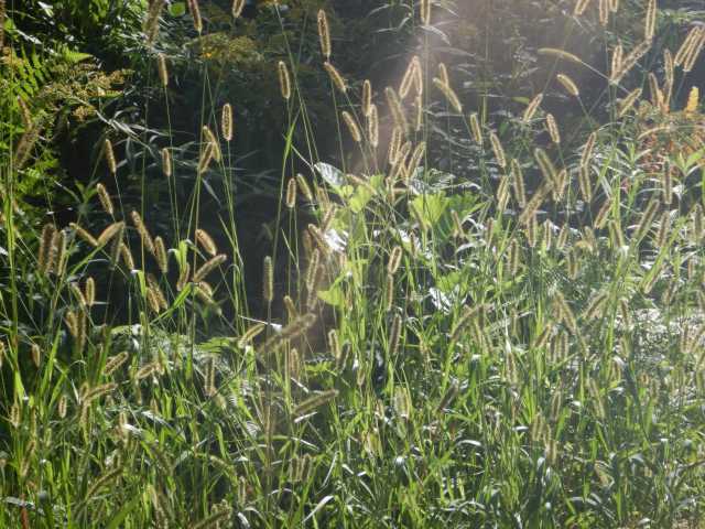DSCN5680.JPG