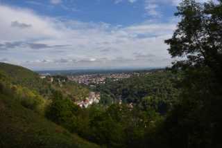 DSC_6903.JPG