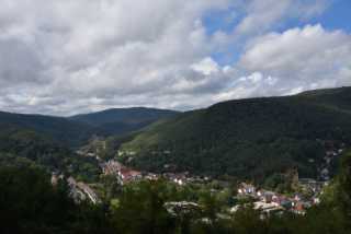 DSC_6908.JPG