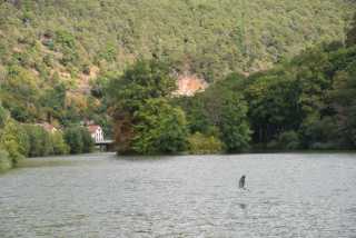 DSC_6916.JPG