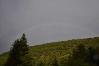 DSC_6930.JPG