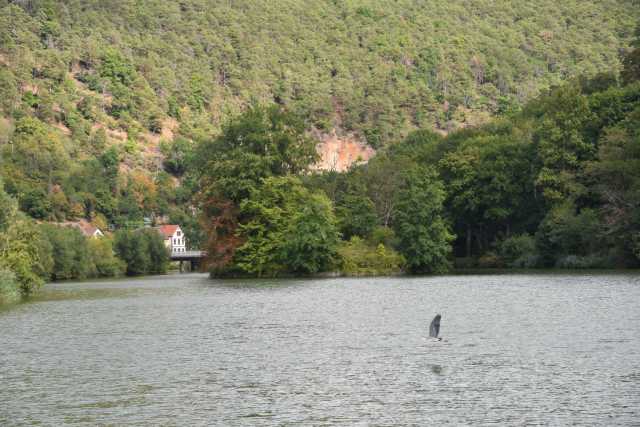 DSC_6916.JPG